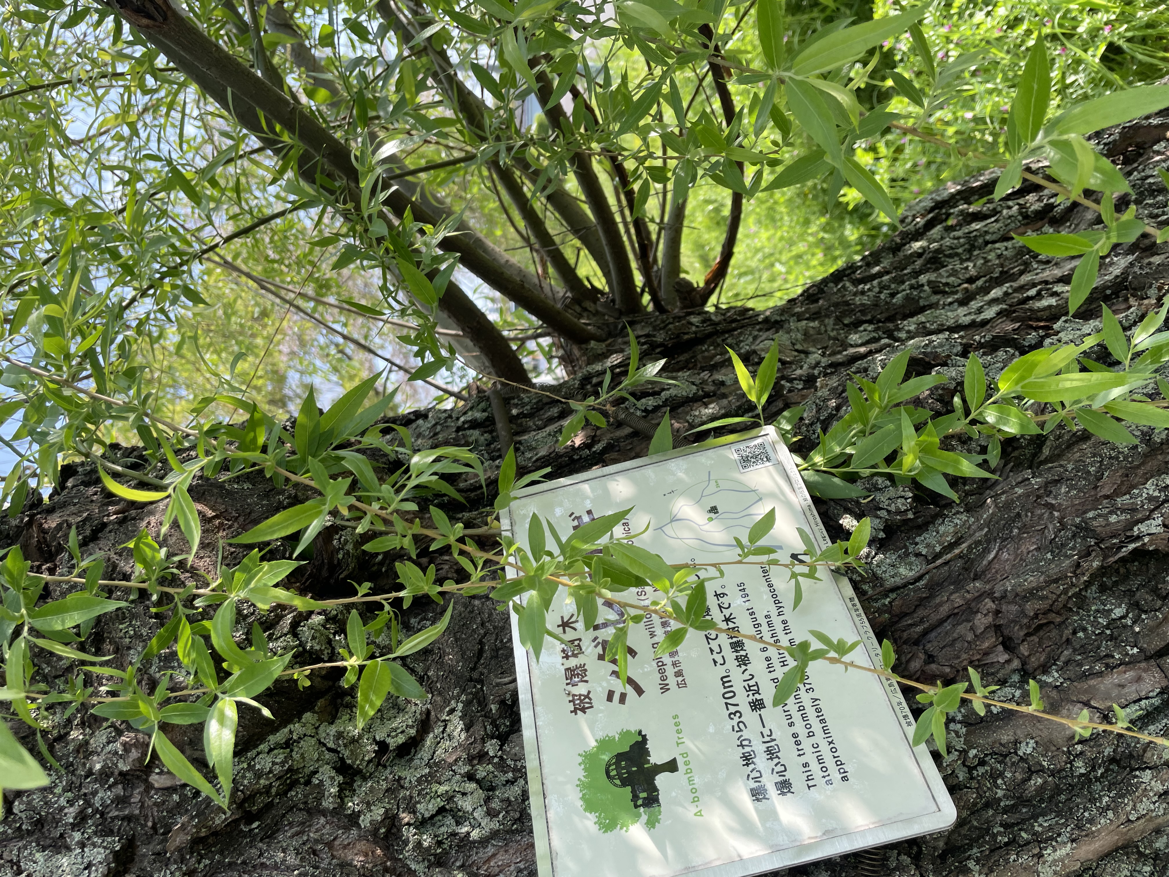 Activities in Hiroshima